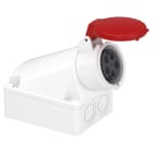 SCHNEIDER ELECTRIC - Presa fissa BT da parete IP44 16A 380V 3P+N+T