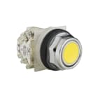 SCHNEIDER ELECTRIC - Pulsante non luminoso giallo - tipo K - diametro 30 - rotondo - MOM. - 10A - 1NO+1NC