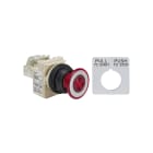 SCHNEIDER ELECTRIC - Pulsante luminoso diametro 30 - testa a fungo luminoso 28V