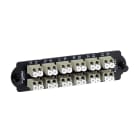 SCHNEIDER ELECTRIC - Piastra con 12 bussole LC duplex colore beige per fibre multimodali OM2-OM3-OM4