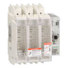 SCHNEIDER ELECTRIC - Interruttore-sezionatore fusibile TeSys GS - 3P - UL 100 A - dim. fusibile J
