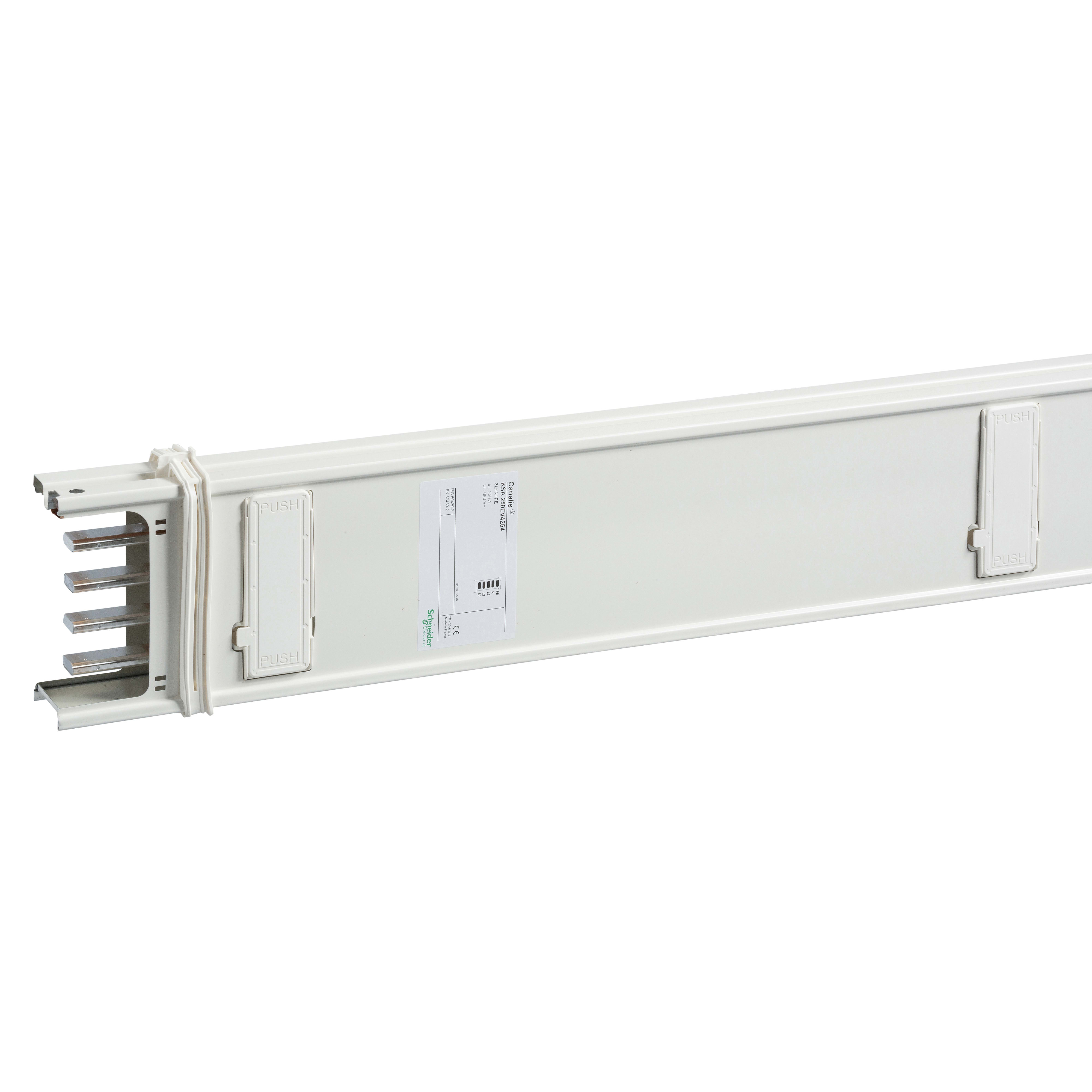 SCHNEIDER ELECTRIC - Canalis - Elemento di colonna - 100 A - 2,5 m - 4 derivazioni