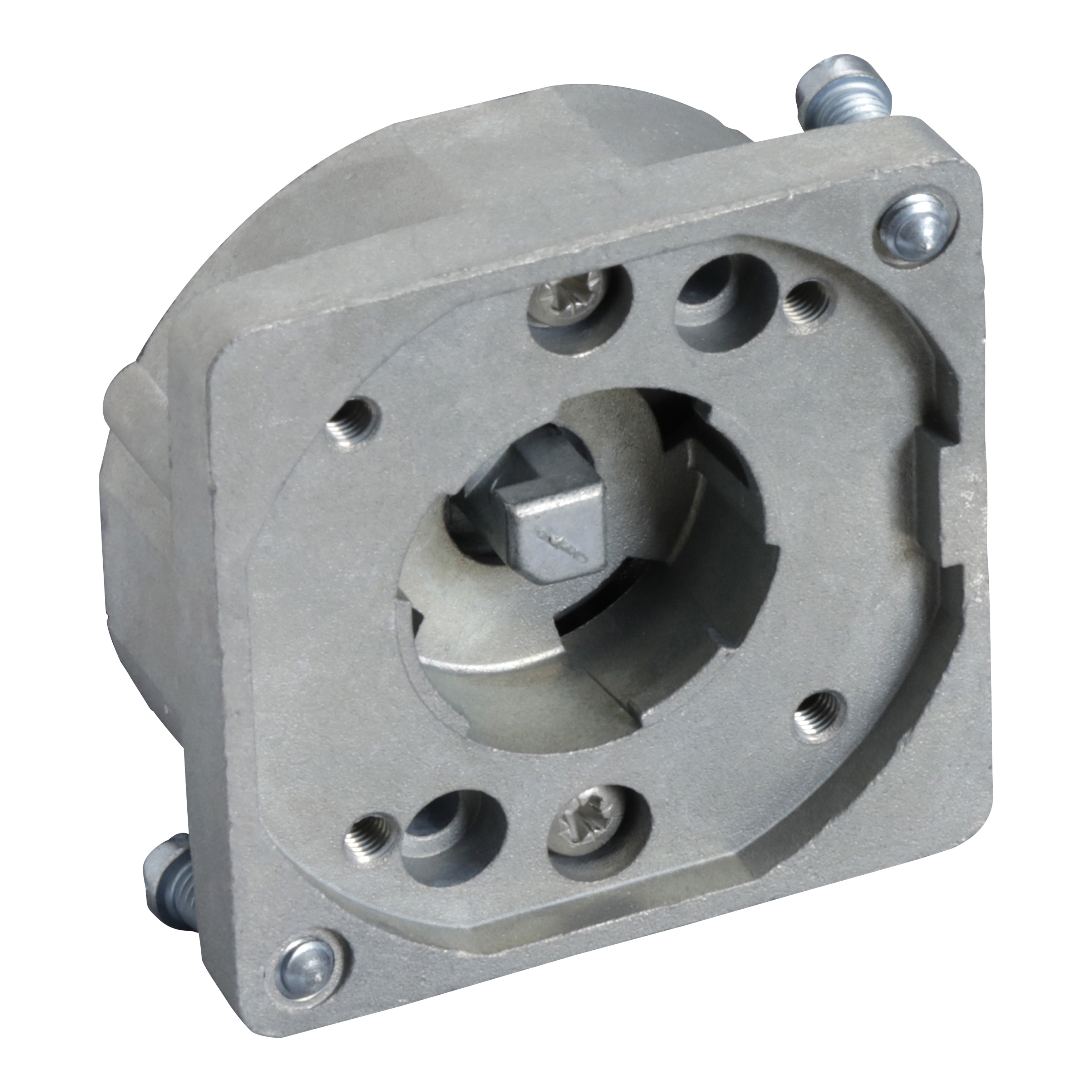 SCHNEIDER ELECTRIC - Piastra adattatore per commutatore a cammae diametro 22 in metallo