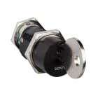 SCHNEIDER ELECTRIC - Blocco Ronis 2 chiavi EL24315 SP