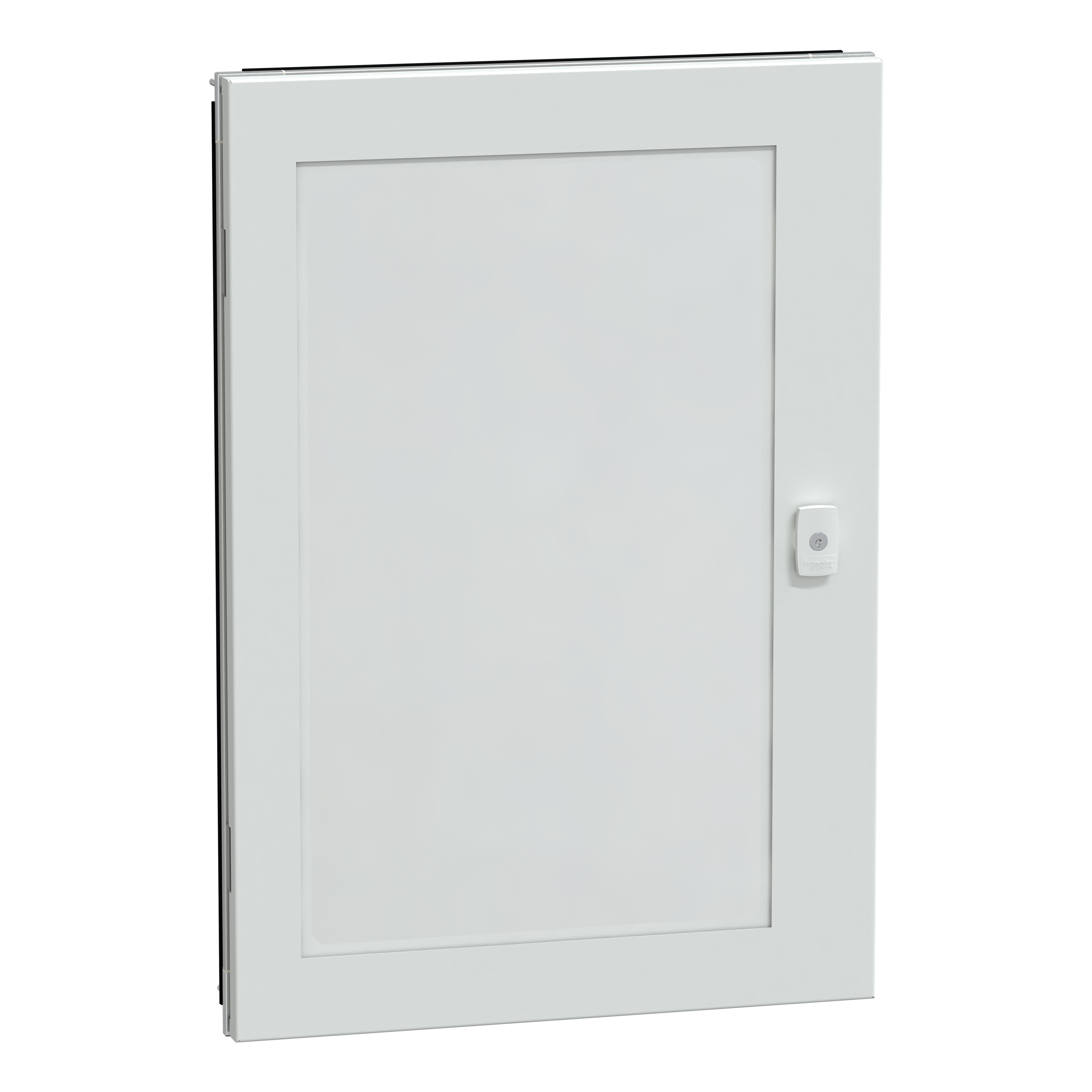 SCHNEIDER ELECTRIC - Porta trasp.Prisma G IP55 15M
