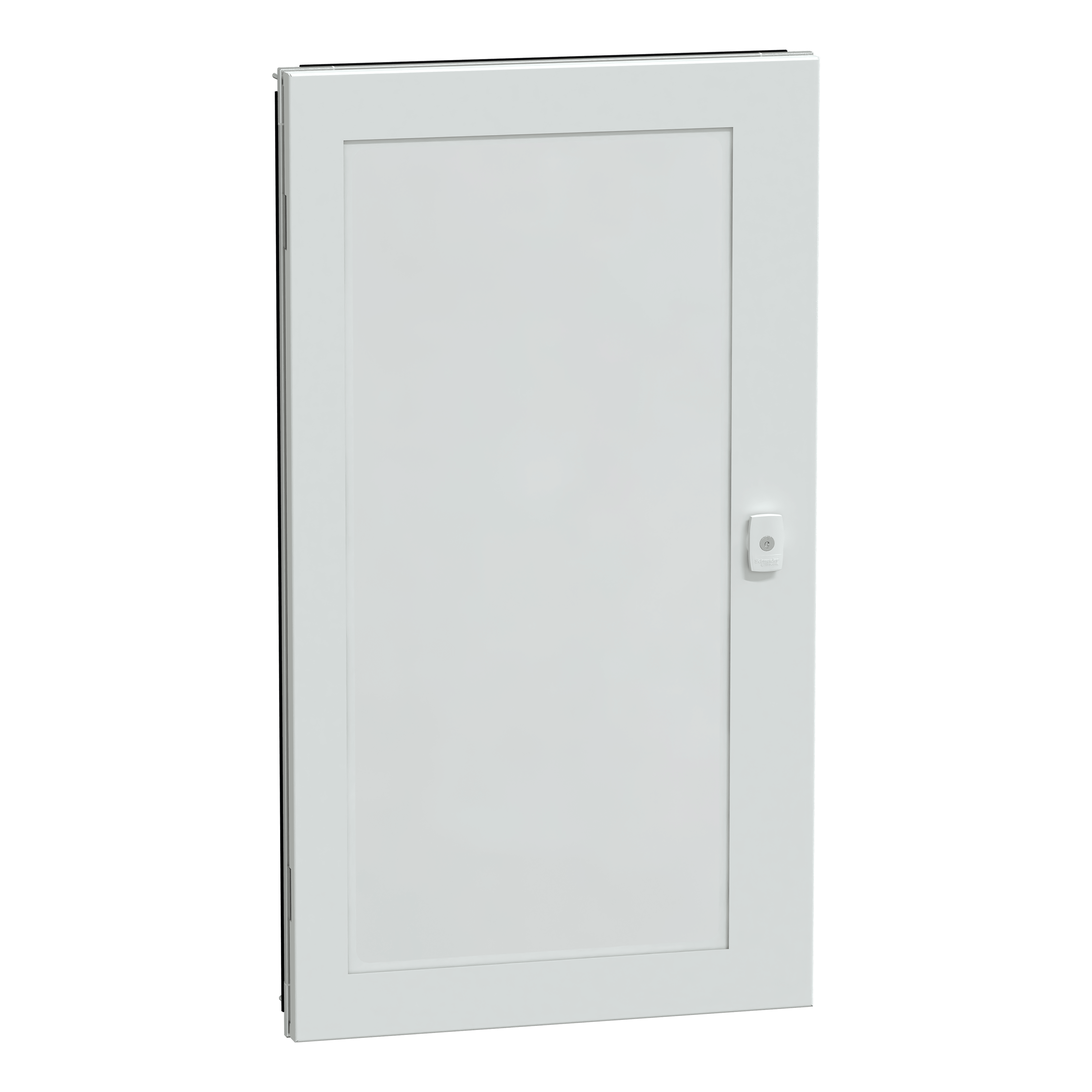 SCHNEIDER ELECTRIC - Porta trasp.Prisma G IP55 19M