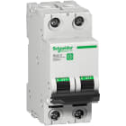 SCHNEIDER ELECTRIC - Interruttore magnetotermico C60SP 2P D 6A 10kA 480Y-277V UL1077