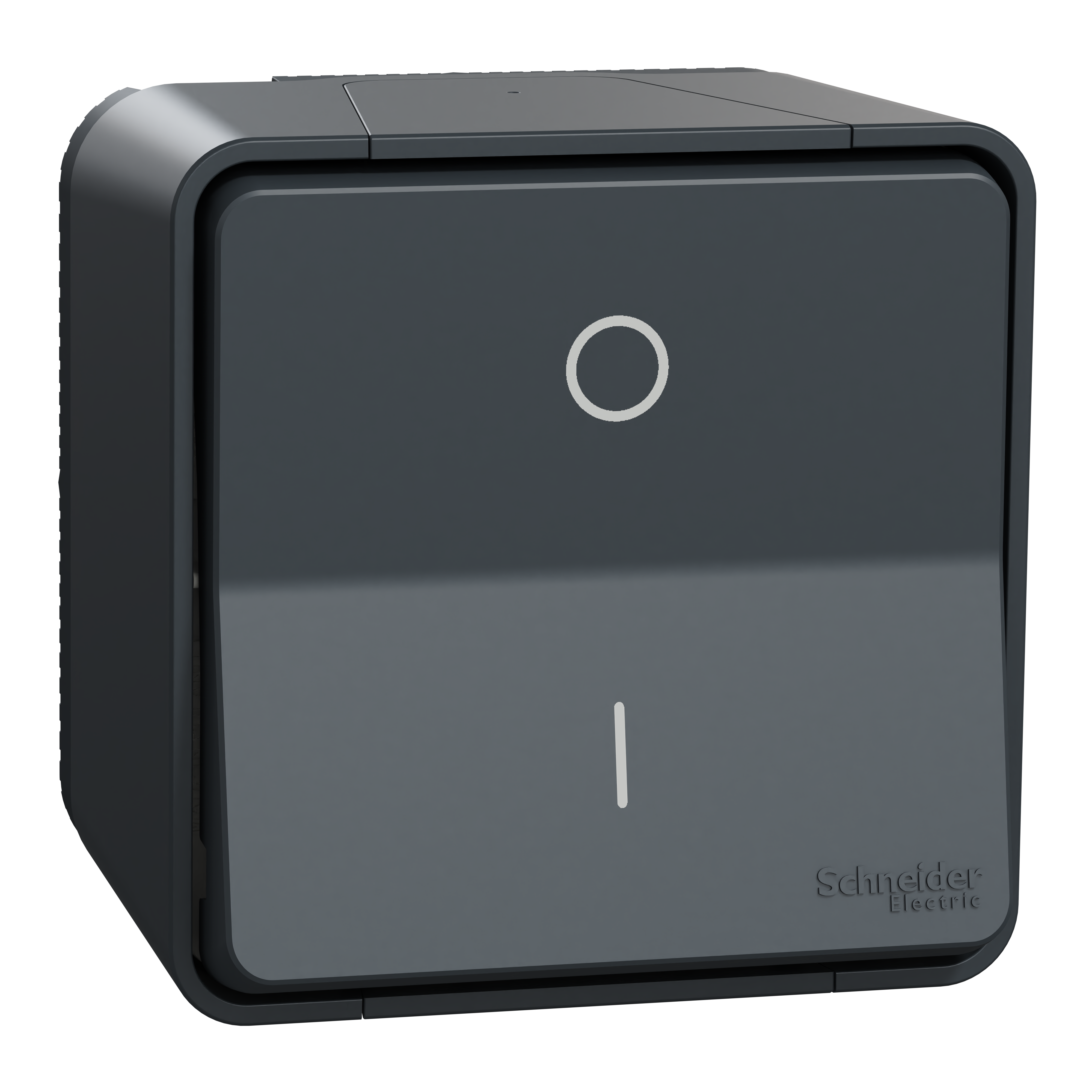 SCHNEIDER ELECTRIC - Mureva interruttore 2P 16AX