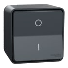 SCHNEIDER ELECTRIC - Mureva interruttore 2P 16AX
