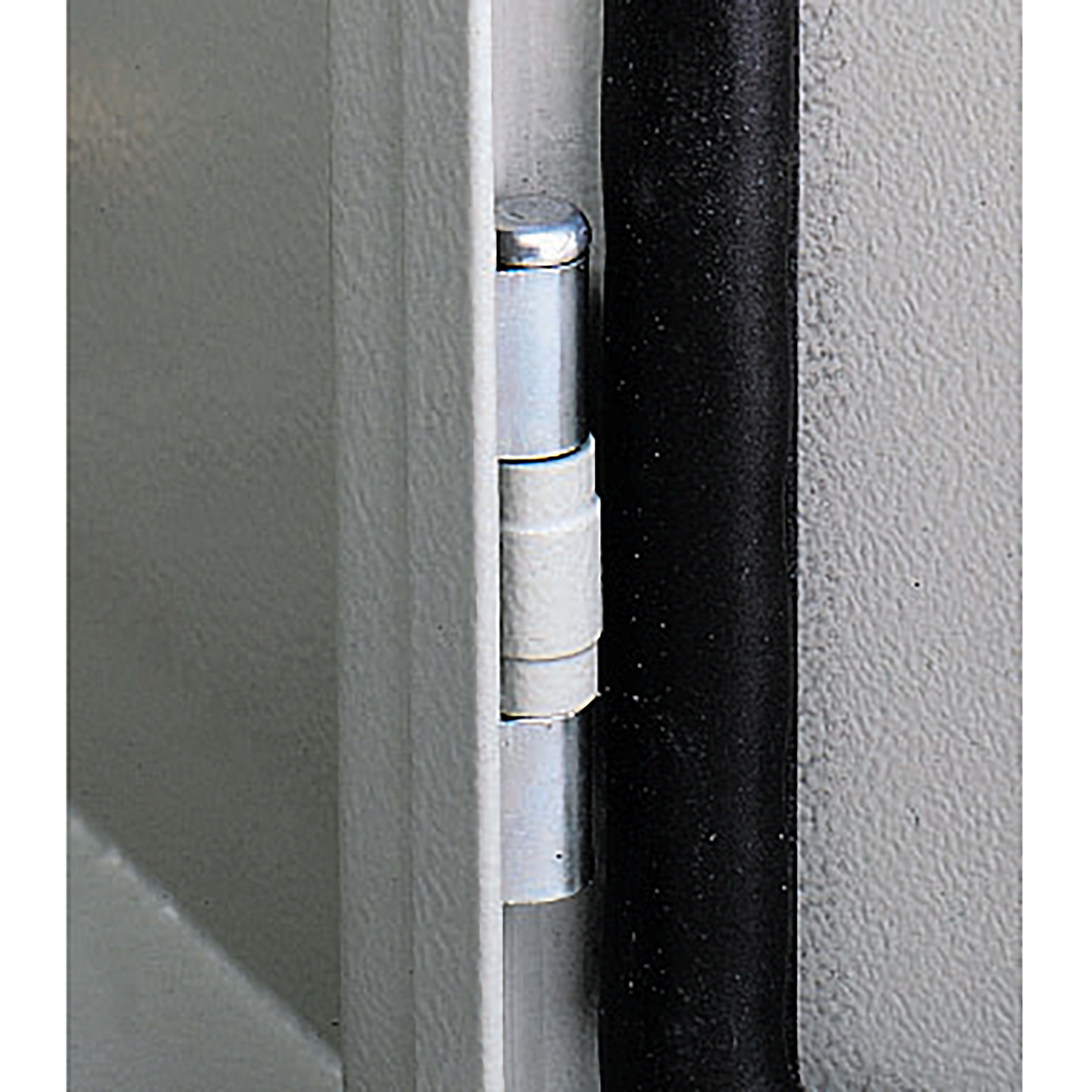 SCHNEIDER ELECTRIC - Cerniera standard per Spacial S3D