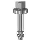 SCHNEIDER ELECTRIC - Vite a testa triangolare 3mm