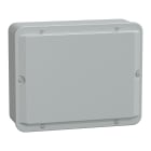 SCHNEIDER ELECTRIC - Cassetta di derivazione 256x206x93