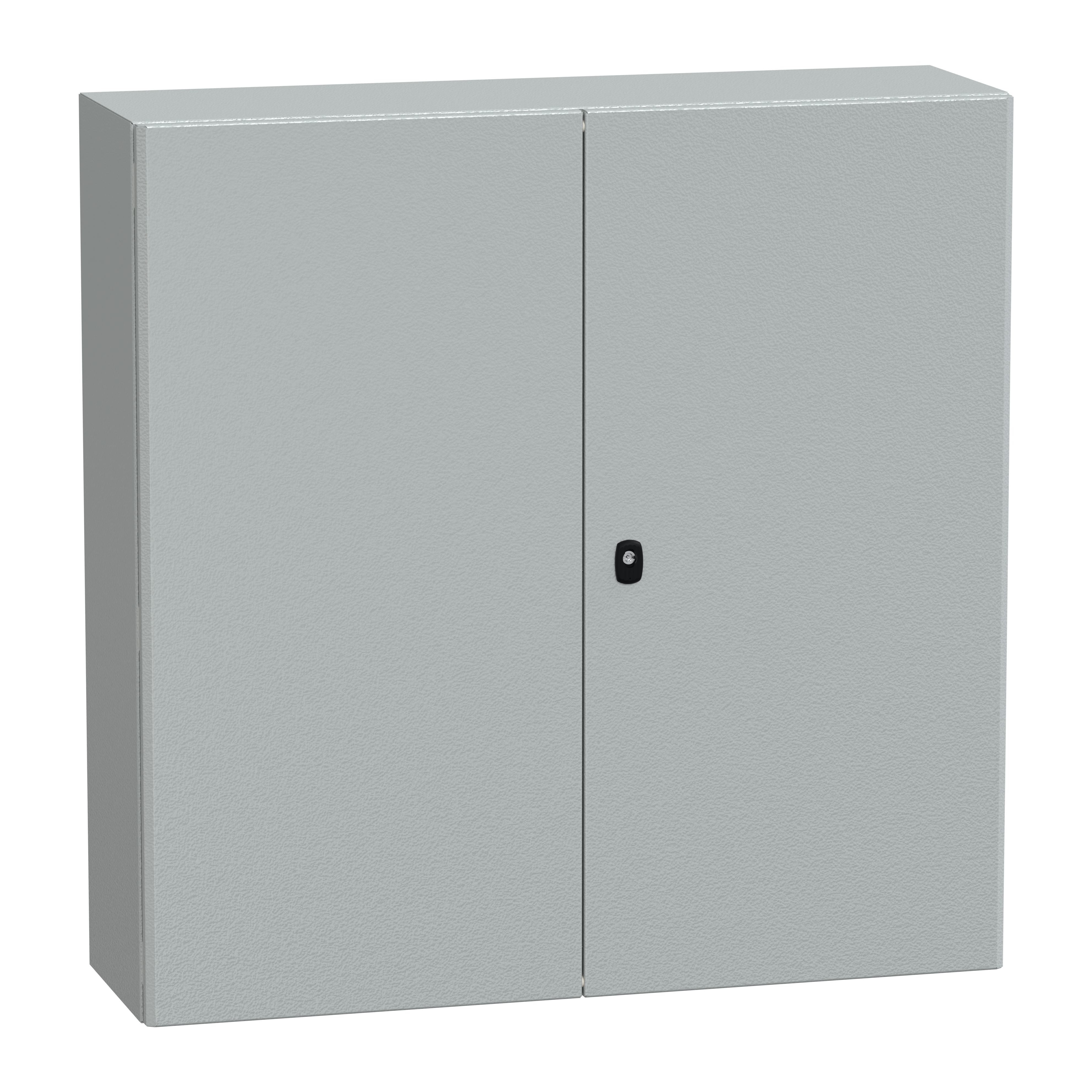 SCHNEIDER ELECTRIC - Cassa Spacial S3D + piastra di fondo 1000X1000X300 2Porte RAL7035