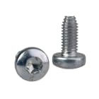 SCHNEIDER ELECTRIC - Viti autofilettanti Torx T30 M6x12 mm - [prezzo per 100 pz]