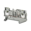 Miniatura Immagine principale 1