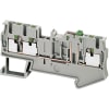 Miniatura Immagine principale 1
