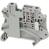 Miniatura Immagine principale 1