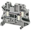 Miniatura Immagine principale 1