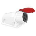 SCHNEIDER ELECTRIC - Presa BT da parete small IP44 32A 380V 3P+T