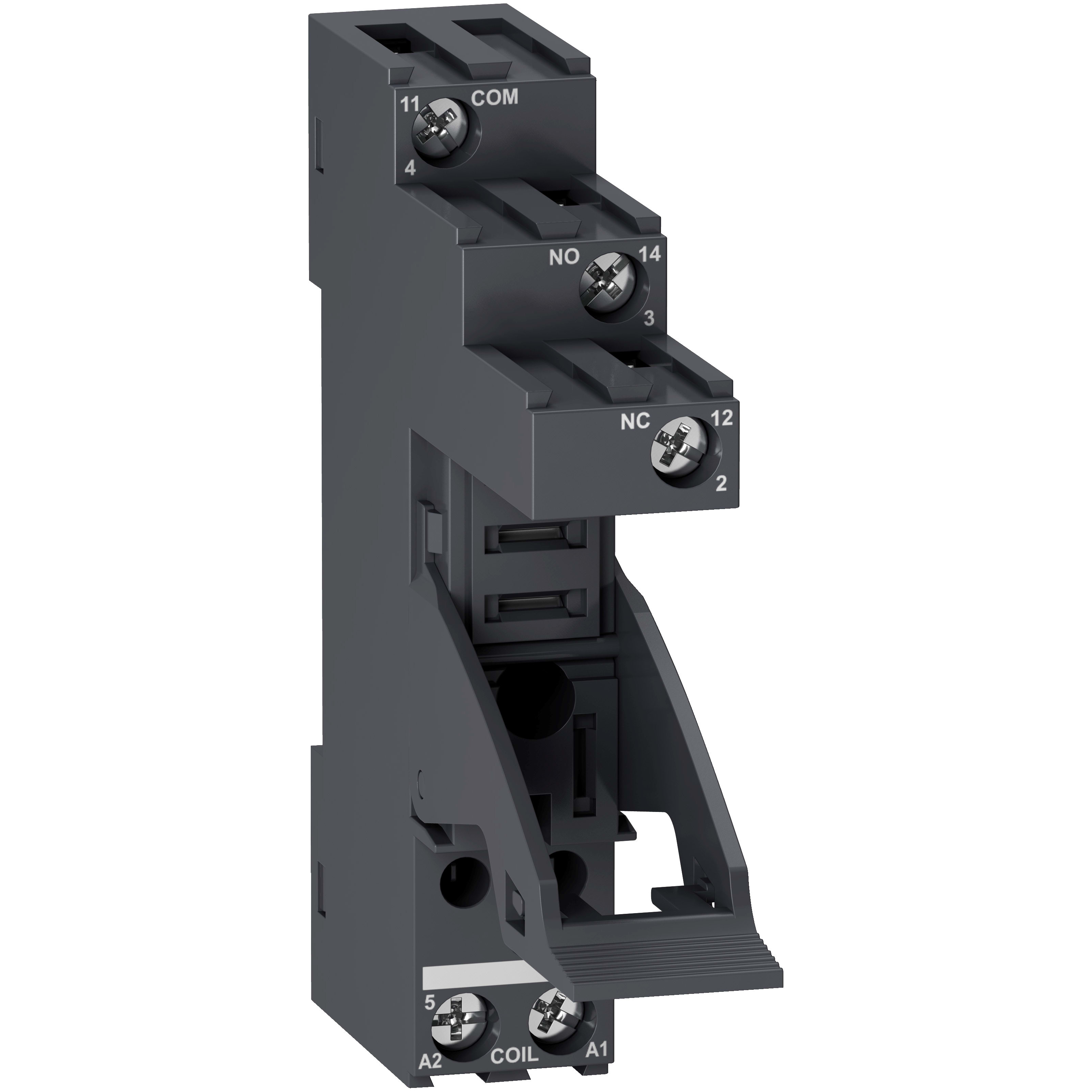 SCHNEIDER ELECTRIC - Base relè RGZ - 1 contatto separato - 10 A - 250V - connettore a vite