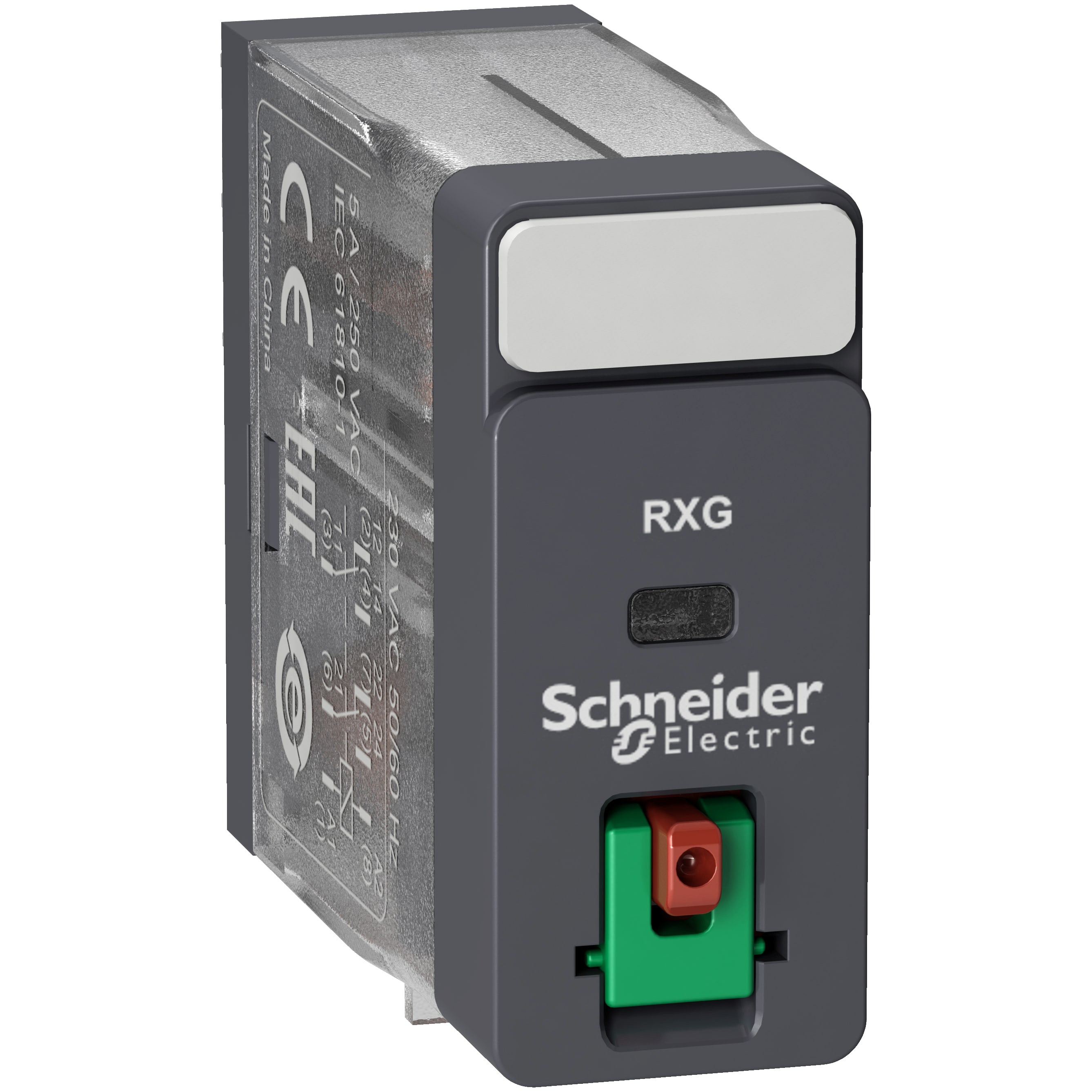 SCHNEIDER ELECTRIC - Relè interfaccia ZELIO RXG - 2 NC-NO standard - 48 VAC - 5 A - c-pulsante TEST