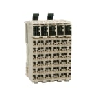 SCHNEIDER ELECTRIC - Blocco esp. I-O comp 36 I-O-24 ingressi digit.-12 uscite dig. relè