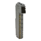SCHNEIDER ELECTRIC - Modulo distribuzione alim - per mod I-O 24 Vcc - 6,3 A - fusibile interno
