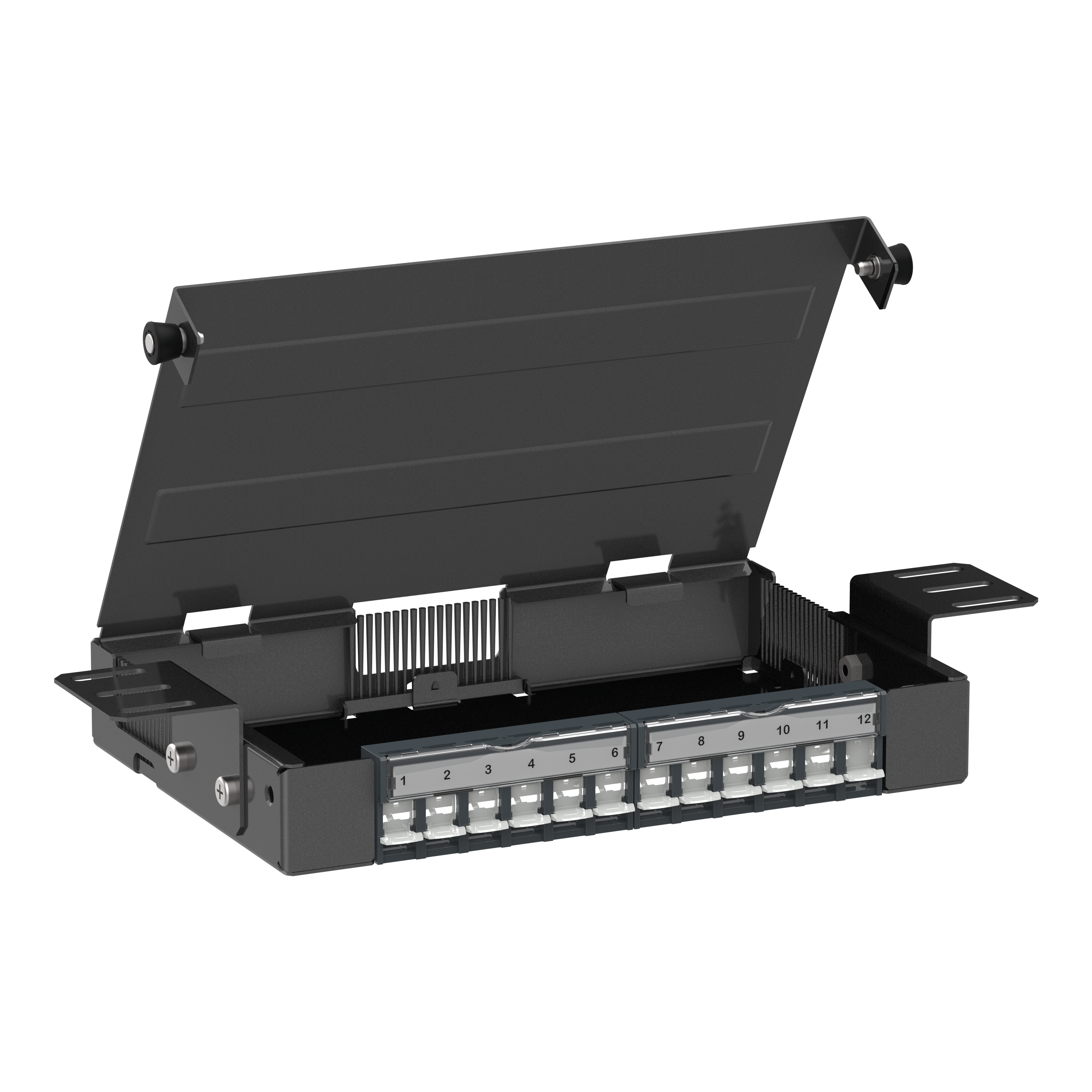 SCHNEIDER ELECTRIC - Consolidation box rame, Actassi, 12 x S-One, STP, da accessoriare con prese RJ45