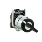 SCHNEIDER ELECTRIC - SELETTORE CON CHIAVE diametro 22 - 2 POS. - CON RITORNO - A CHIAVE - 1NO