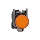 SCHNEIDER ELECTRIC - Lampada spia diametro 22 - arancione - LED universale- 120Vac