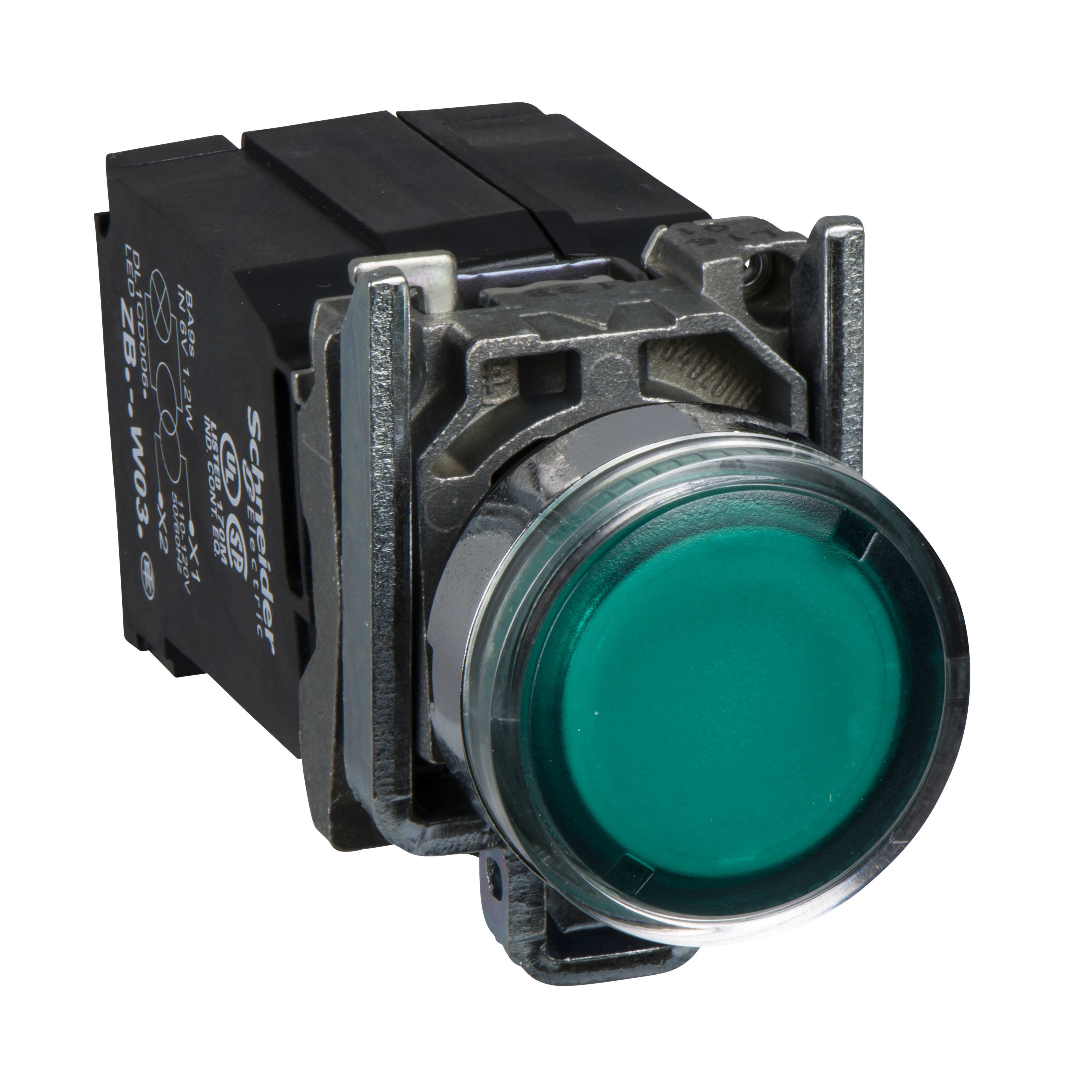 SCHNEIDER ELECTRIC - Pulsante luminoso verde diametro 22 - filoghiera ad impulso - 120V - 1NO+1NC