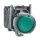 SCHNEIDER ELECTRIC - Pulsante luminoso verde diametro 22 - filoghiera ad impulso - 250V - 1NO+1NC