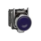 SCHNEIDER ELECTRIC - Pulsante luminoso blu diametro 22 - filoghiera ad impulso - 120Vac - 1NO+1NC- LED universale