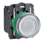 SCHNEIDER ELECTRIC - Pulsante luminoso bianco diametro 22 - filoghiera ad impulso - 250V - 1NA+1NC