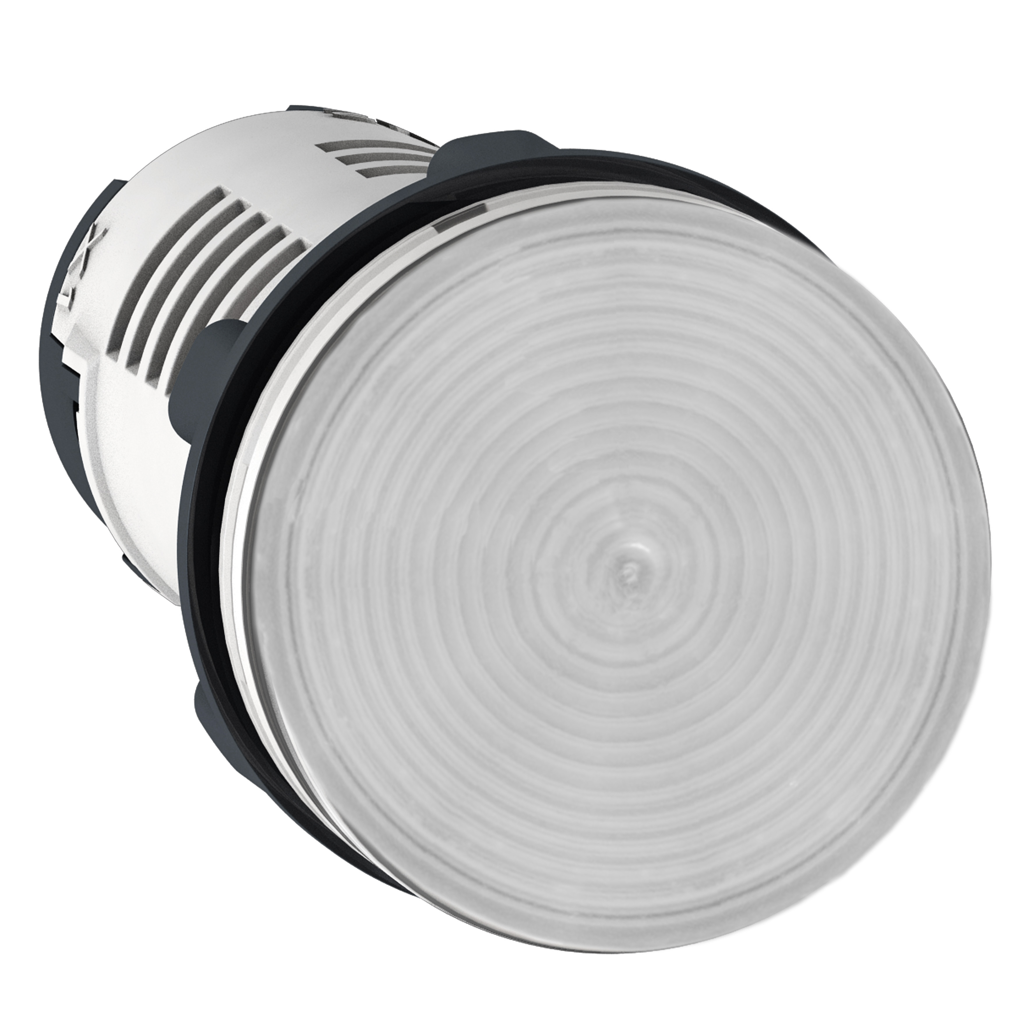 SCHNEIDER ELECTRIC - Lampada spia - LED - trasparente - 120 V