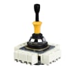 Miniatura Immagine principale 1