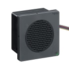 SCHNEIDER ELECTRIC - Allarme elettronico modificabile - DIN96 - VNC-NOE - nero - PNP - 12-24 VDC