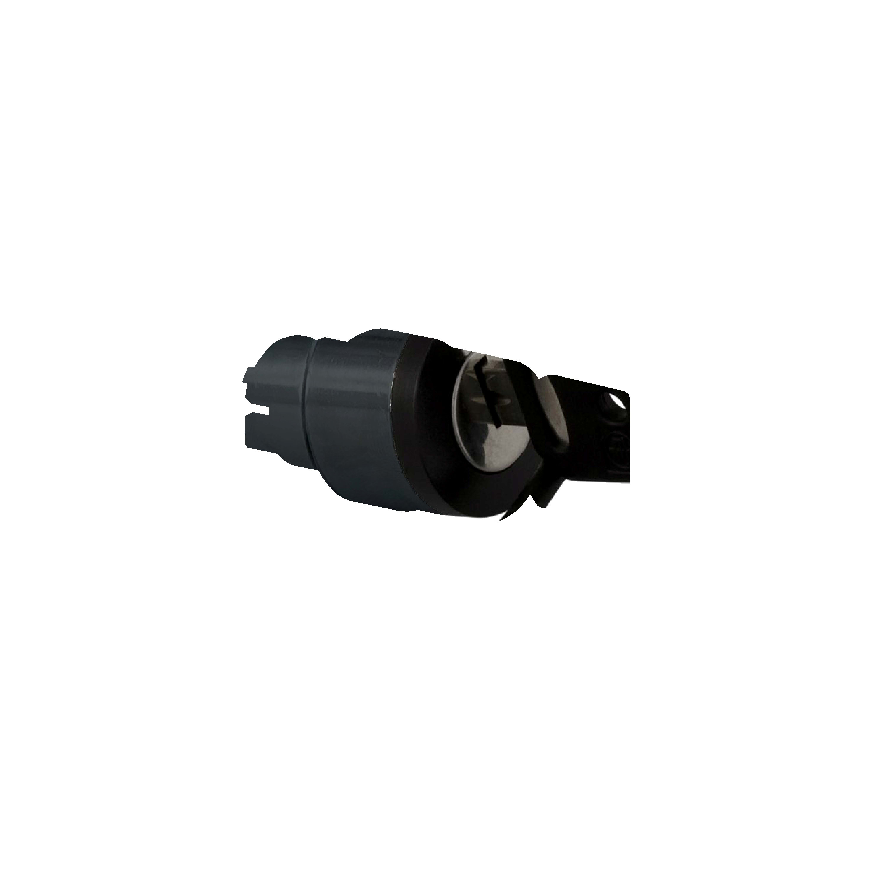 SCHNEIDER ELECTRIC - Testa selettore diametro 22 - 2 posiz. - Ronis 455 - estraz.chiave SX