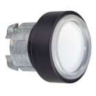 SCHNEIDER ELECTRIC - Tesa pulsante luminoso - diametro 22 - Bianca - Per inserimento etichetta