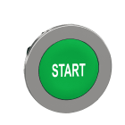 SCHNEIDER ELECTRIC - Testa pulsante verde filopannello con marcatura START