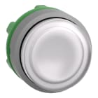 SCHNEIDER ELECTRIC - Testa pulsante luminoso bianco ghiera grigia- per LED universale- diametro 22