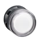SCHNEIDER ELECTRIC - Testa pulsante luminoso diametro 22