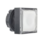 SCHNEIDER ELECTRIC - Testa pulsante quadrato luminoso diametro 22 - bianco- per LED universale