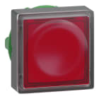 SCHNEIDER ELECTRIC - Testa pulsante quadrato luminoso diametro 22 - rosso - per inserimento etichetta- per LED universale