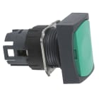 SCHNEIDER ELECTRIC - Testa pulsante rettangolare diametro 16 - verde