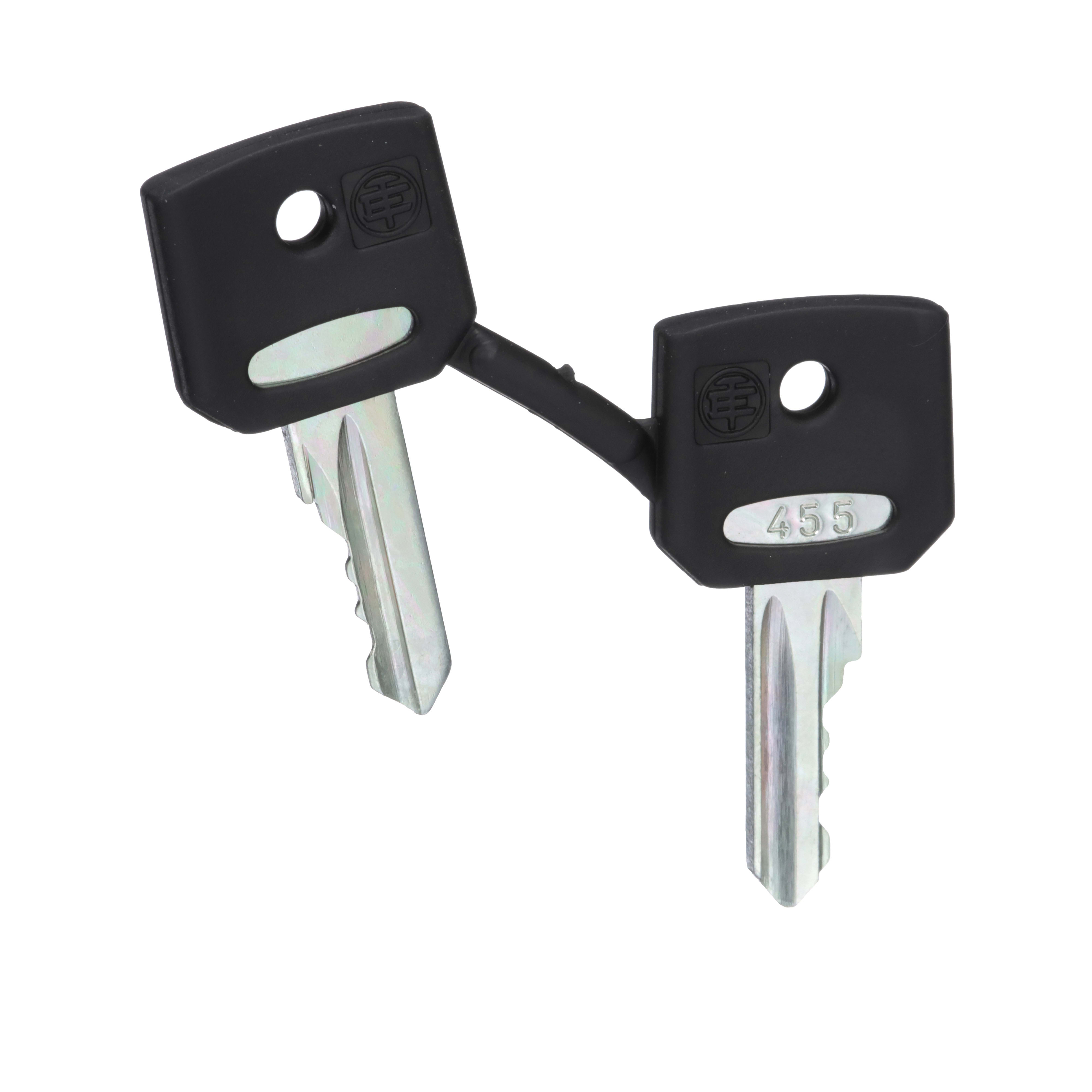 SCHNEIDER ELECTRIC - Chiave di ricambio - 455 - 2-CONF.