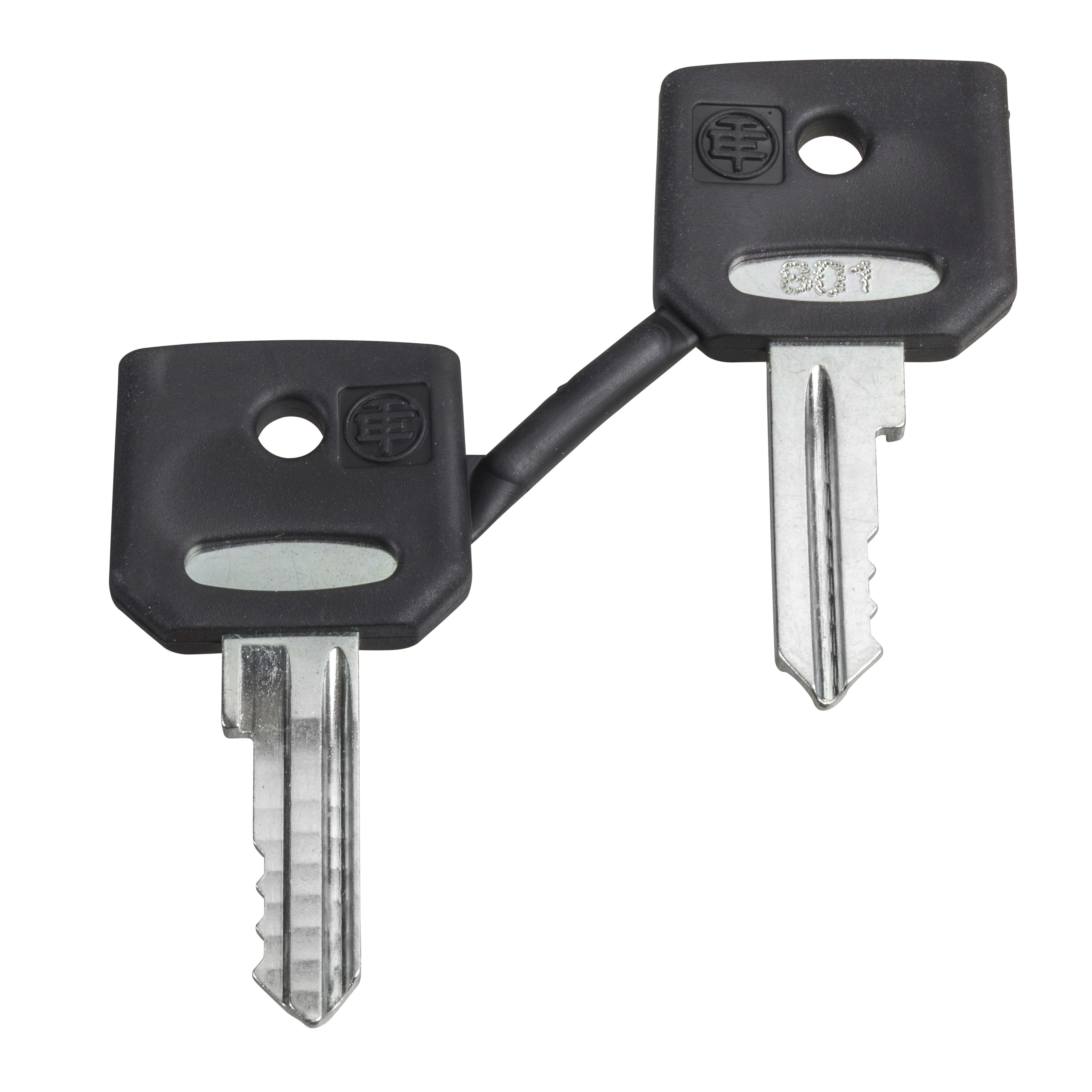 SCHNEIDER ELECTRIC - Chiave di ricambio SET 2 CHIAVI 520E