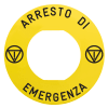 Miniatura Immagine principale 1