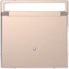 SCHNEIDER ELECTRIC - Holder per tessere hotel con campo etichetta, champagne, System Design