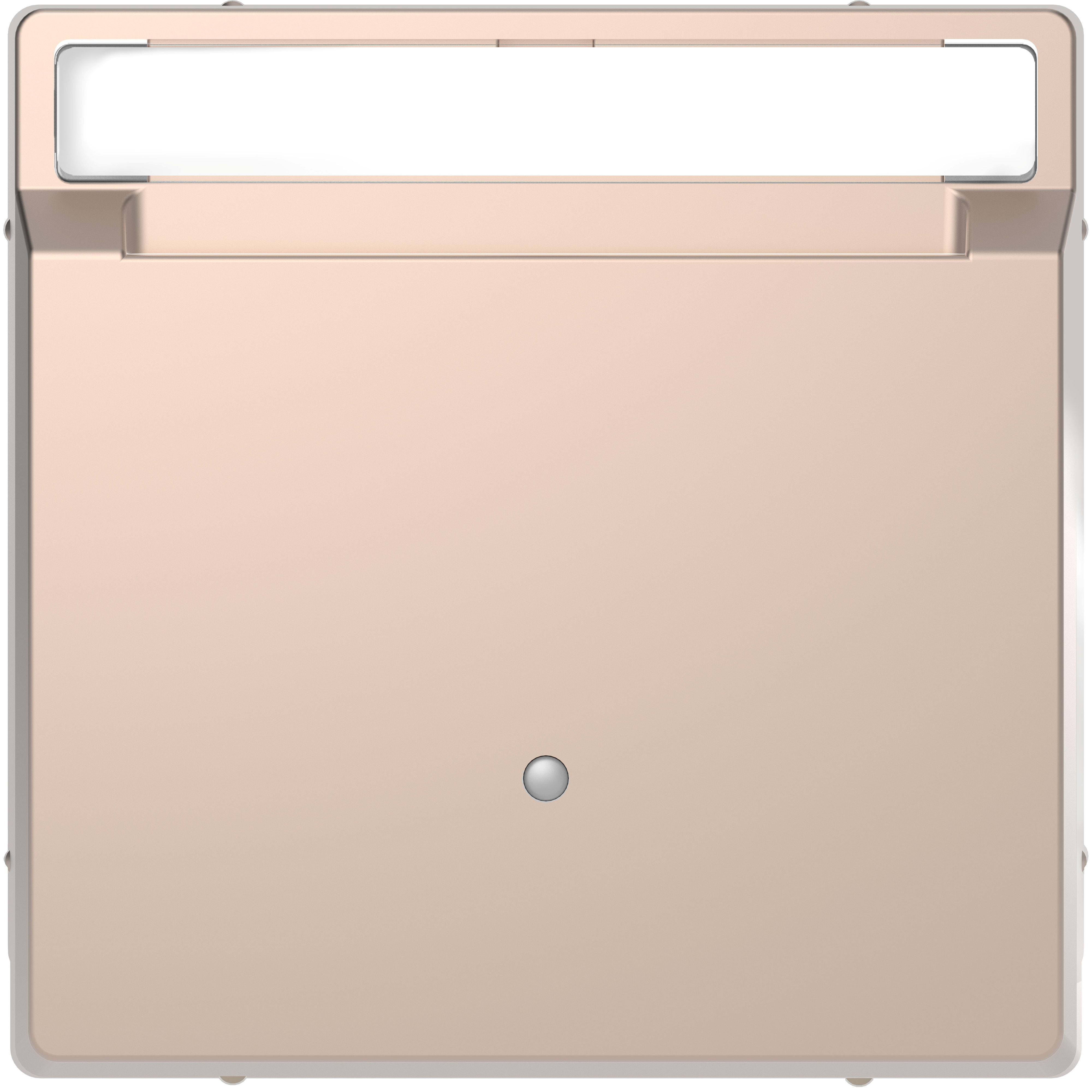 SCHNEIDER ELECTRIC - Holder per tessere hotel con campo etichetta, champagne, System Design